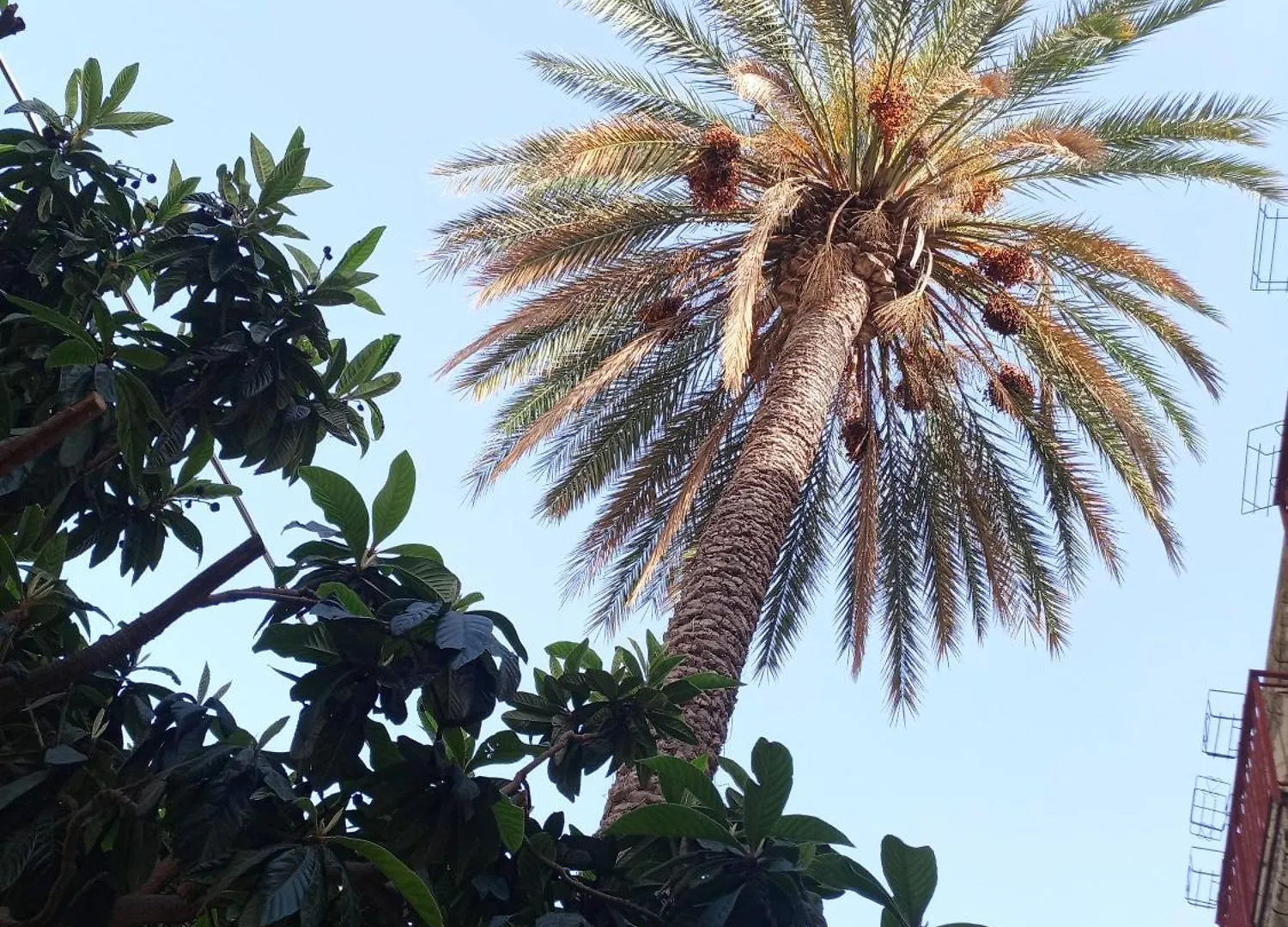 הוילה פאטי La Casa Di Anna בית נופש